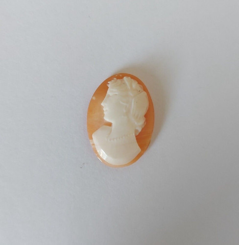 Cammei camei cameos conchiglia - cammei,