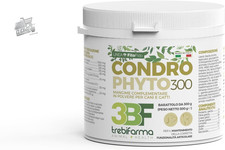 Chondrophyto - 3BF -