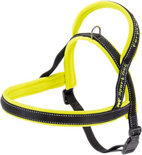 Pettorina Cane Pettorina Di