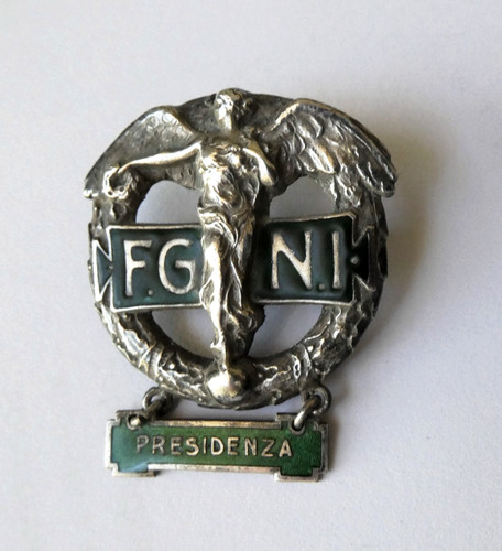 Distintivo fgni con - fgni, grado