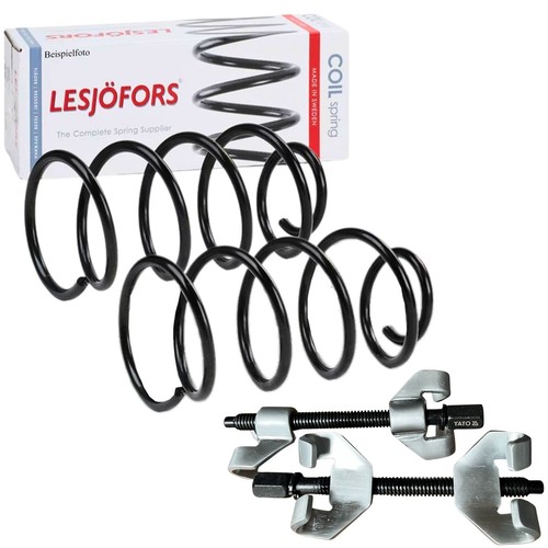 Molle sospensione lesjöfors - 2,