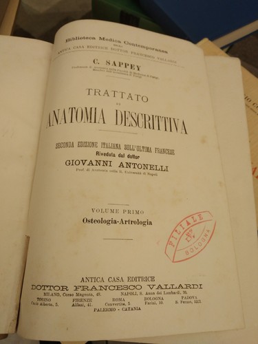 Trattato anatomia - trattato, di