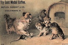 Medaglia d'oro caffè