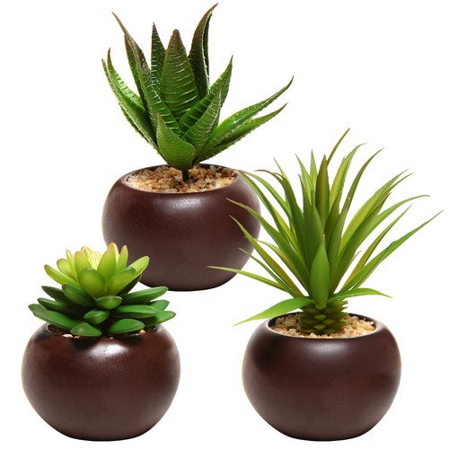 Mygift set mini piante - set,