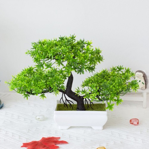 Set bonsai pino con fiori - di,