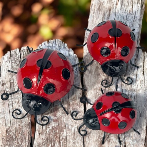 Coccinella metallo arte - coccinella, da