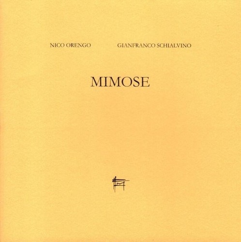 Mimose nico - mimose,