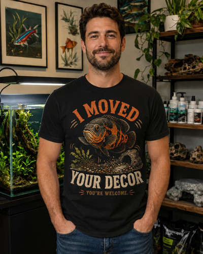 Shirt maglietta divertente - t-shirt,