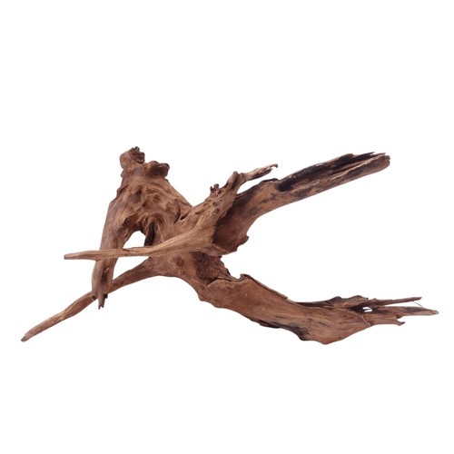 Driftwood flußwurzel - driftwood,