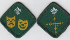 Boy Scout Badges obsolete