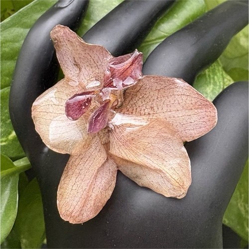 Anello regolabile con orchidea - regolabile,