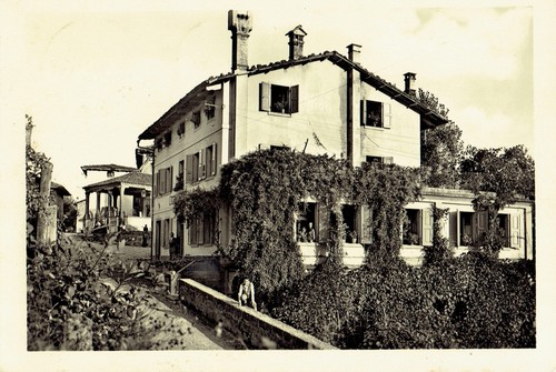 Mediis - mediis, (carnia)