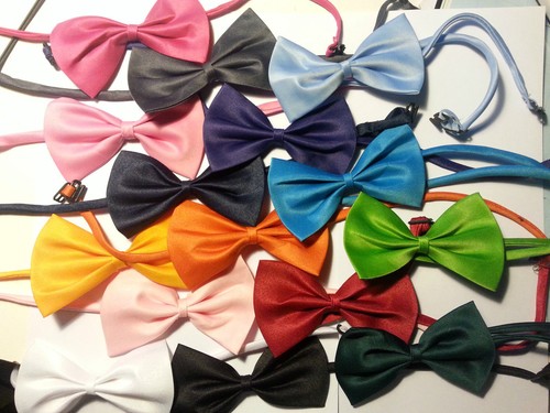 Papillon pezzi vari - 10, colori