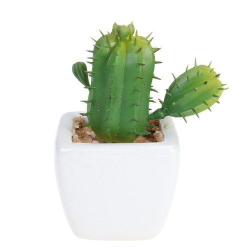 Succulente artificiali piante - succulente,