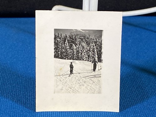 Sci sulla neve svizzera - sci,