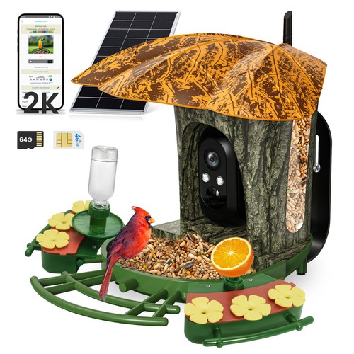 Smart bird feeder 2k - bird,