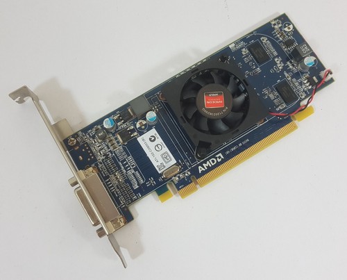 Scheda grafica pci express - grafica,