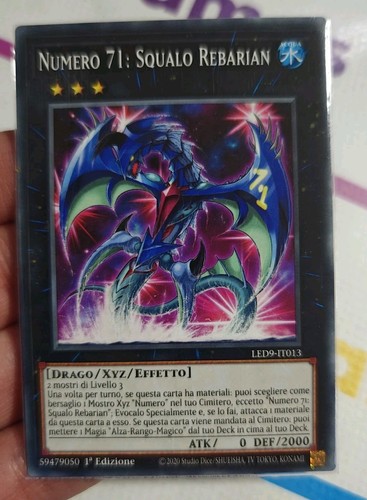 Numero squalo rebarian - 71:,