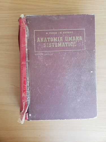 Anatomia umana sistematica