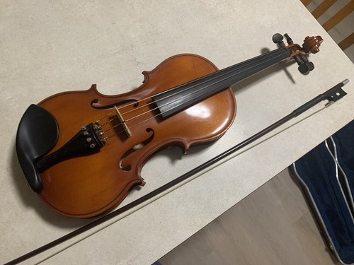 Lidl violin with hard - with,