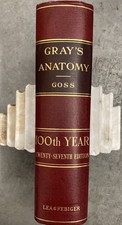 Gray’s Anatomy 100th Year