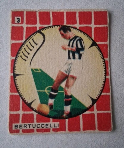 Cicogna tuttocalcio 1950 - cicogna, 1950/51