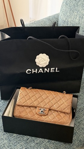 Chanel timeless bag - chanel,
