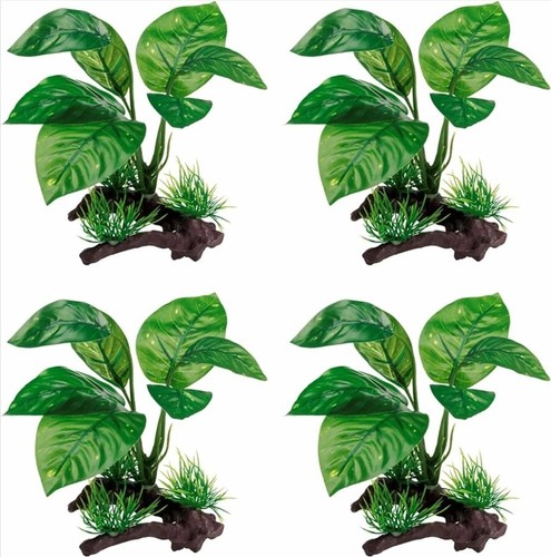 Rettili piante artificiali - piante,