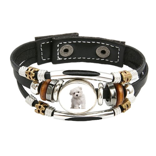 Maltese dog pet family brown - pet,