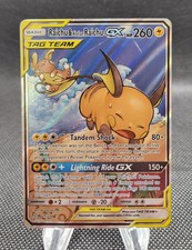 Raichu & Alolan Raichu GX