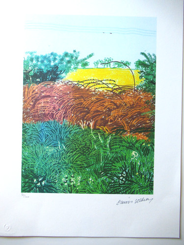 Litografia david hockney - david,