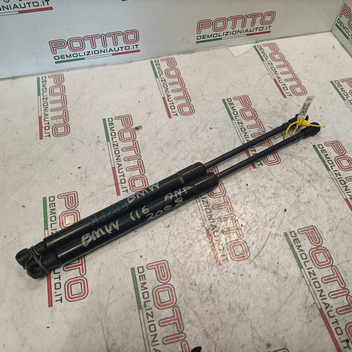 Asta ammortizzante cofano - , ant