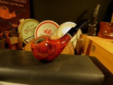 Pipa Lorenzo 8547 Estate