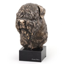 Russo Nero Terrier Testa Su