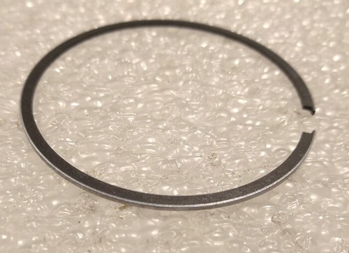 Fascia elastica segmento - fascia,