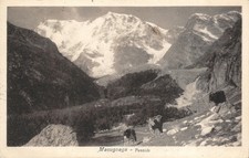 2445) CARTOLINA MACUGNAGA PASCOLO MUCCHE VIAGGIATA VERBANIA