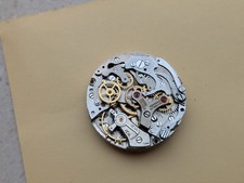 Croton Nivada Grenchen