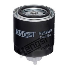HENGST FILTER (H289WK) Filtro