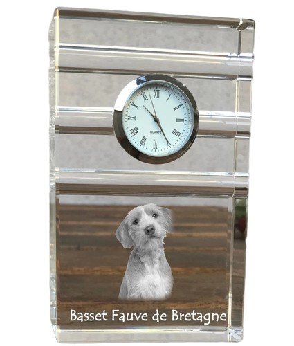Basset fauve bretagne - basset, de