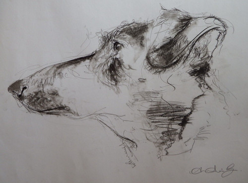 Disegno del profilo - , della