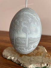 Uovo di emu australiano