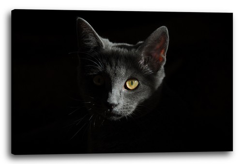 Tela cornice gatto - gatto, nero
