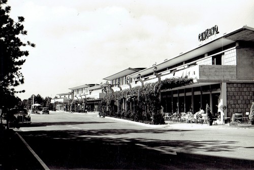 Lignano pineta il - pineta,