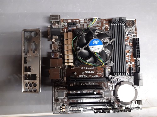 Scheda madre asus - scheda,