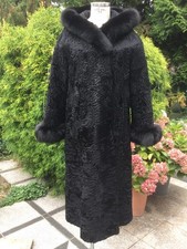 FANTASTICO BELLISSIMO PERSIANO