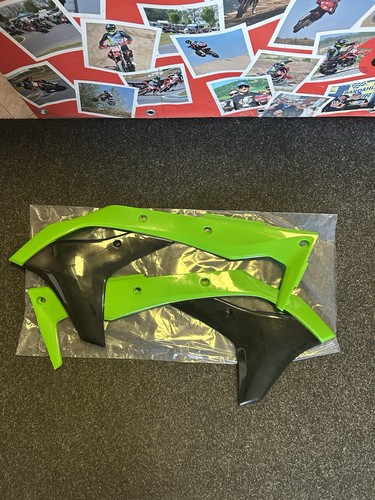Plastiche kawasaki 250 - kawasaki,