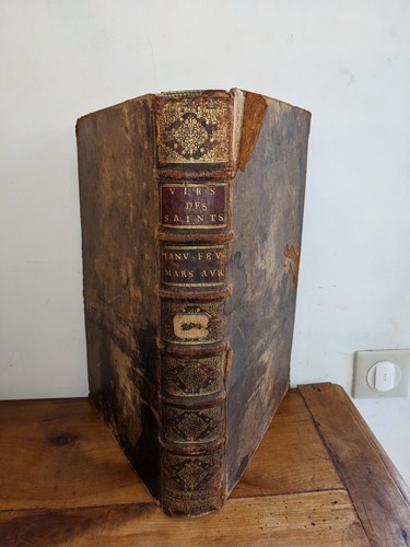 Libro antico vite - libro,