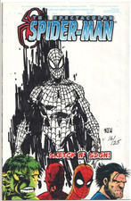 SPECTACULAR SPIDER-MAN FAN