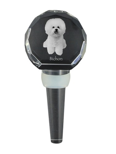 Bichon frise - frise,,