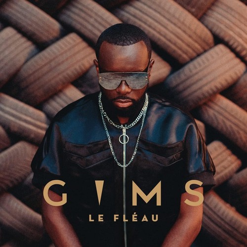 Maitre gims le fleau - gims,